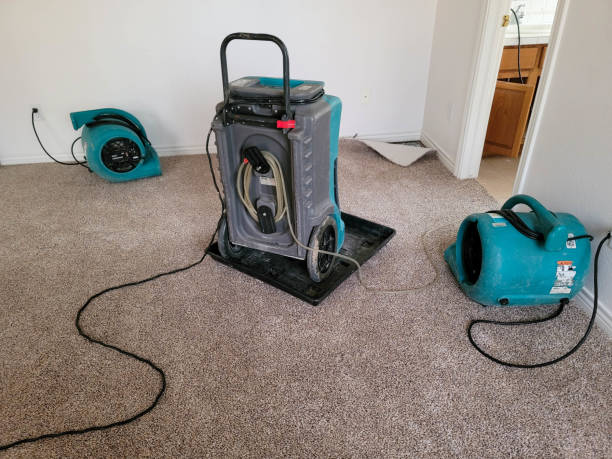 Best Water damage restoration mold remediation  in Huntington, TX