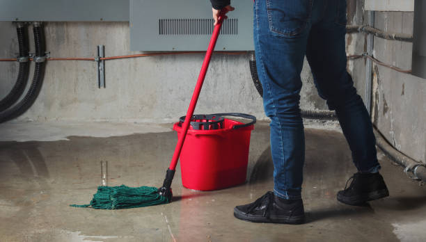 Best Water damage restoration near me  in Huntington, TX