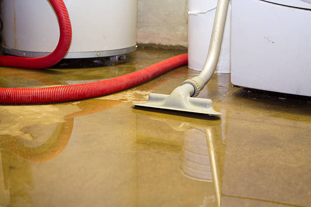 Best Water damage cleanup near me  in Huntington, TX