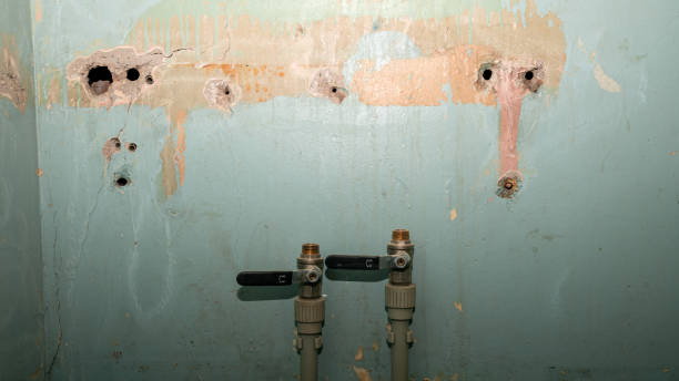Best Ceiling water damage repair  in Huntington, TX