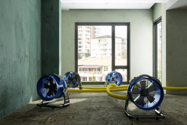 Best Emergency water damage restoration  in Huntington, TX